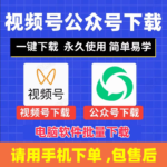 微信视频号视频下载工具